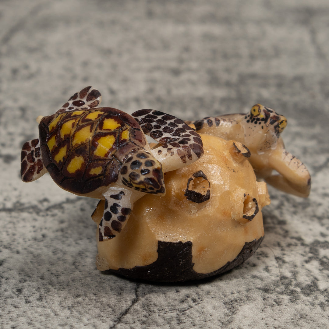 Double Sea Turtle Tagua Carving