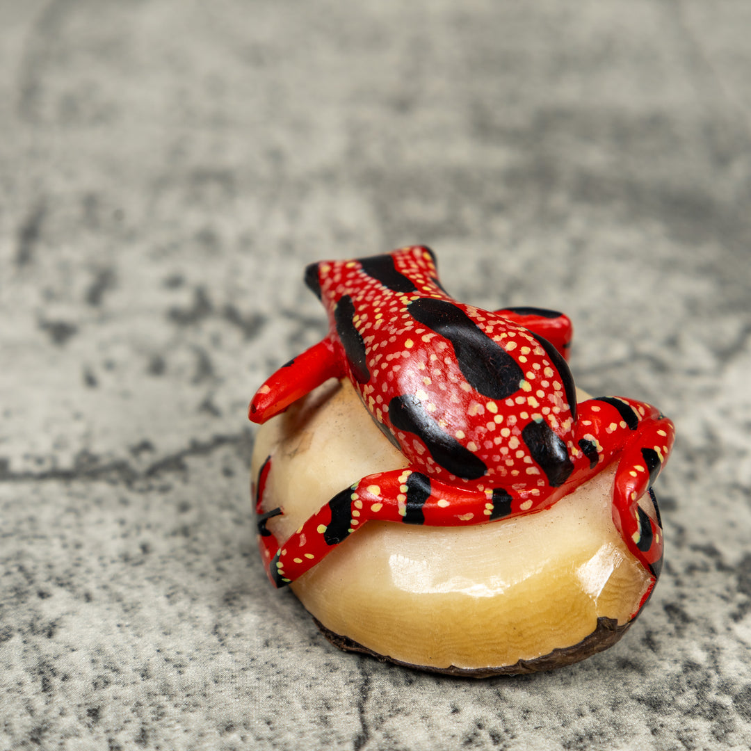 Black And Red Poison Dart Frog Tagua Carving