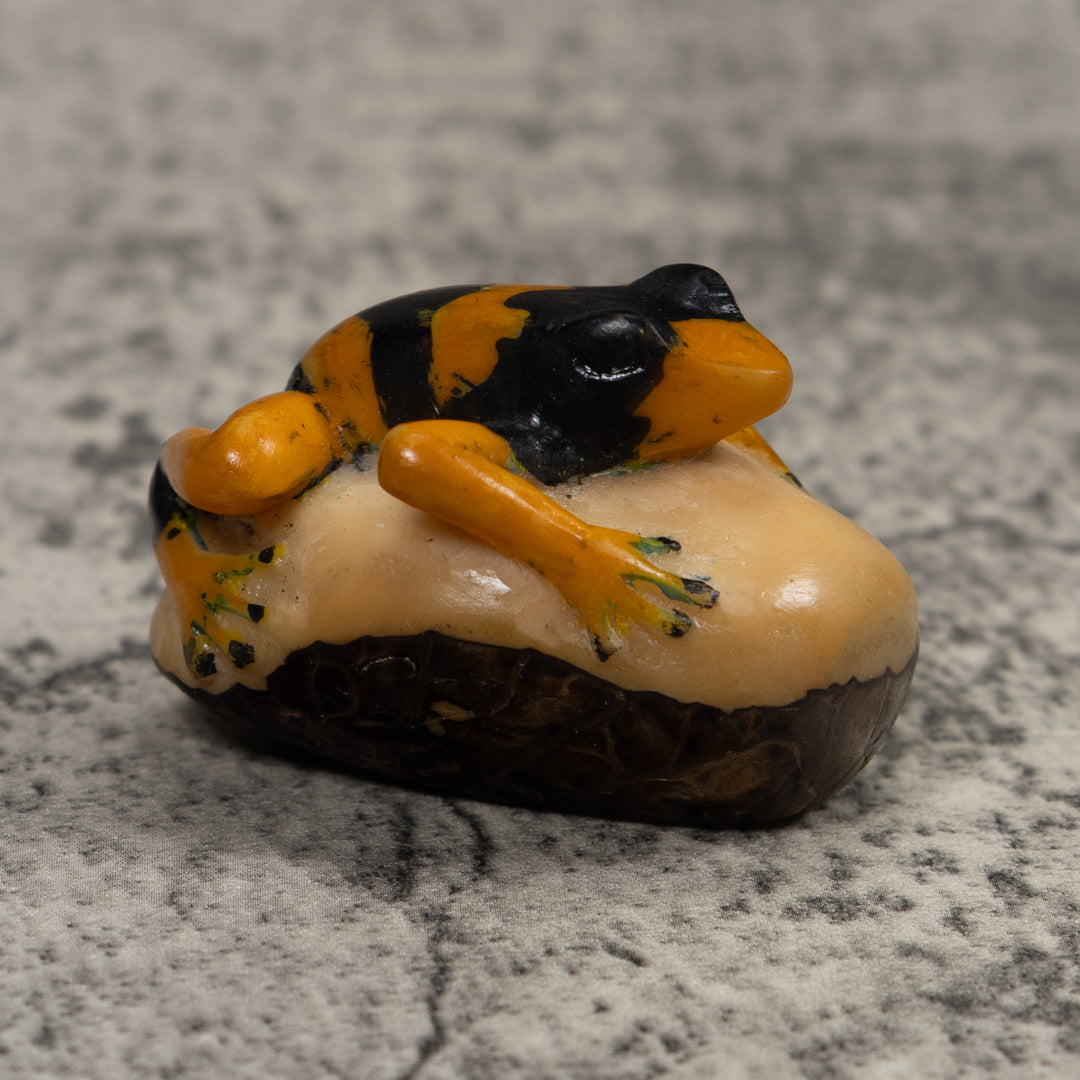 Vintage Gold And Black Frog Tagua Carving