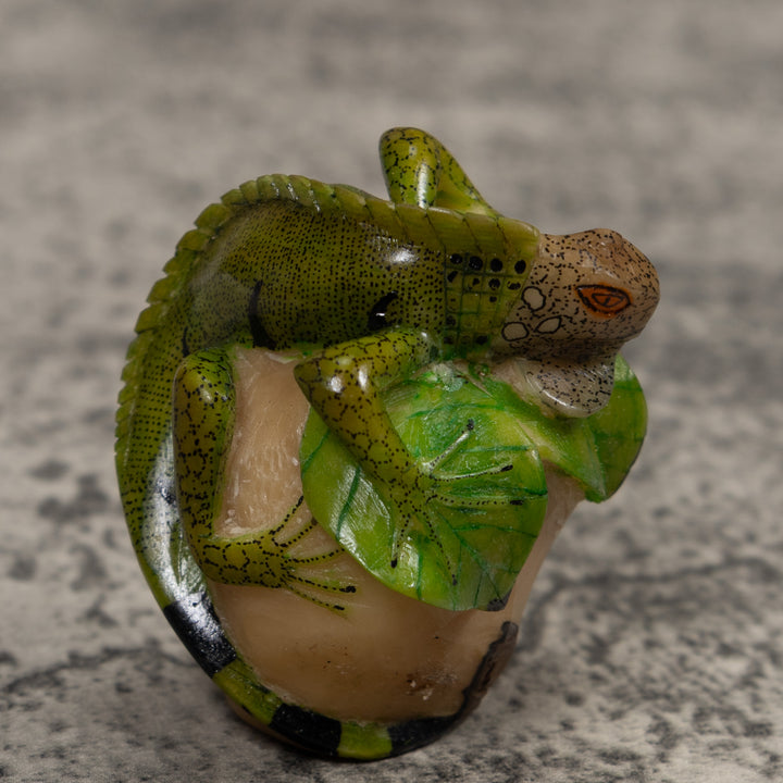 Iguana Lizard Reptile Tagua Carving