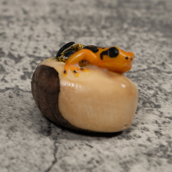 Black And Gold Poison Dart Frog Tagua Carving