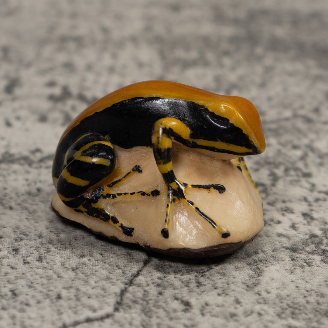 Black And Gold Frog Tagua Carving