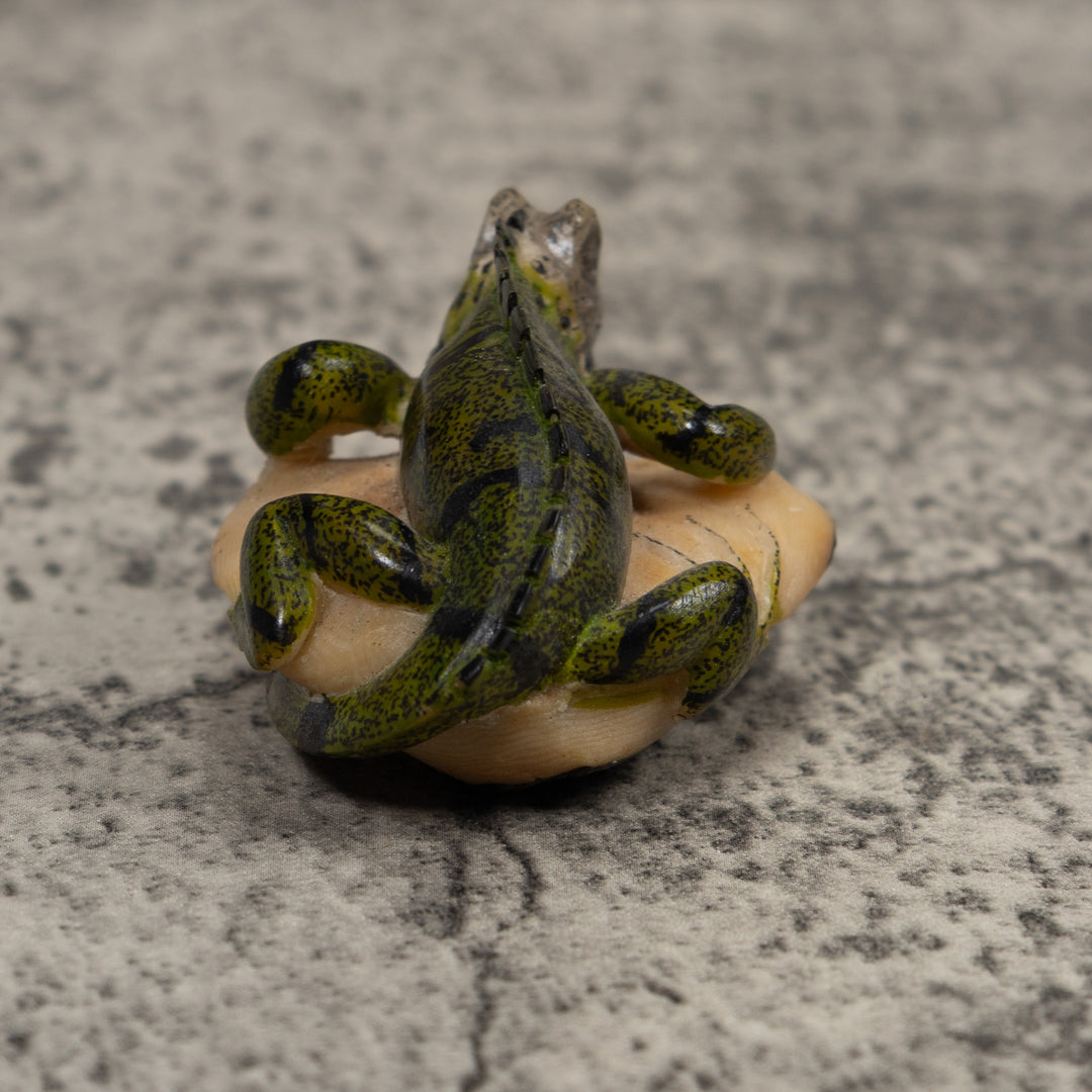 Iguana Lizard Reptile Tagua Carving
