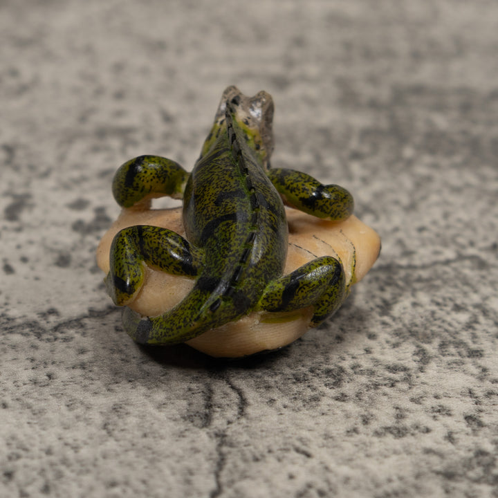 Iguana Lizard Reptile Tagua Carving
