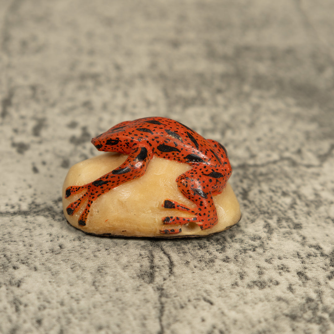 Black And Orange Poison Dart Frog Tagua Carving