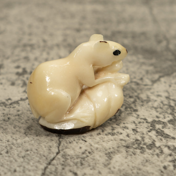 White Natural Negue Agouti Tagua Carving