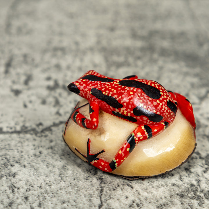 Black And Red Poison Dart Frog Tagua Carving