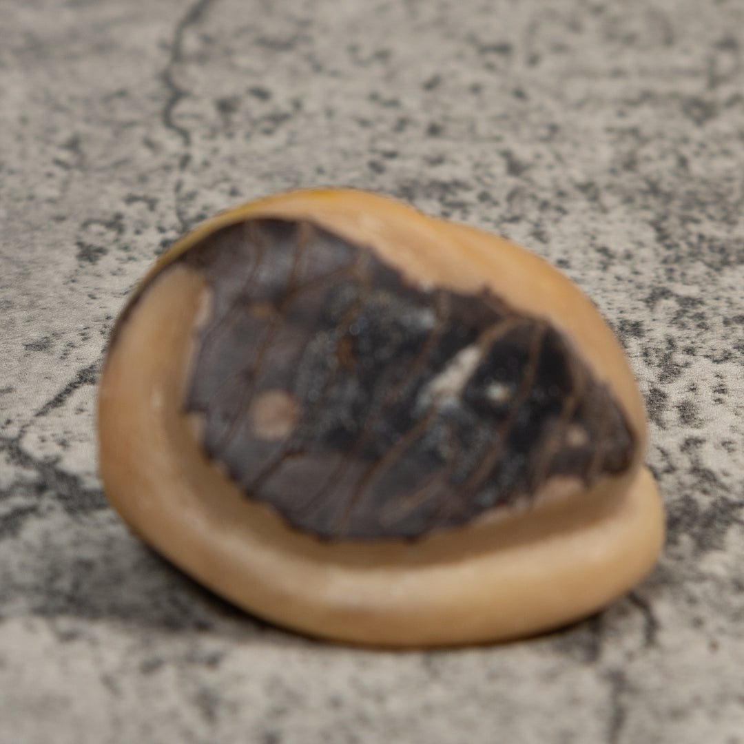 Vintage Snake Eating Gold Frog Tagua Carving