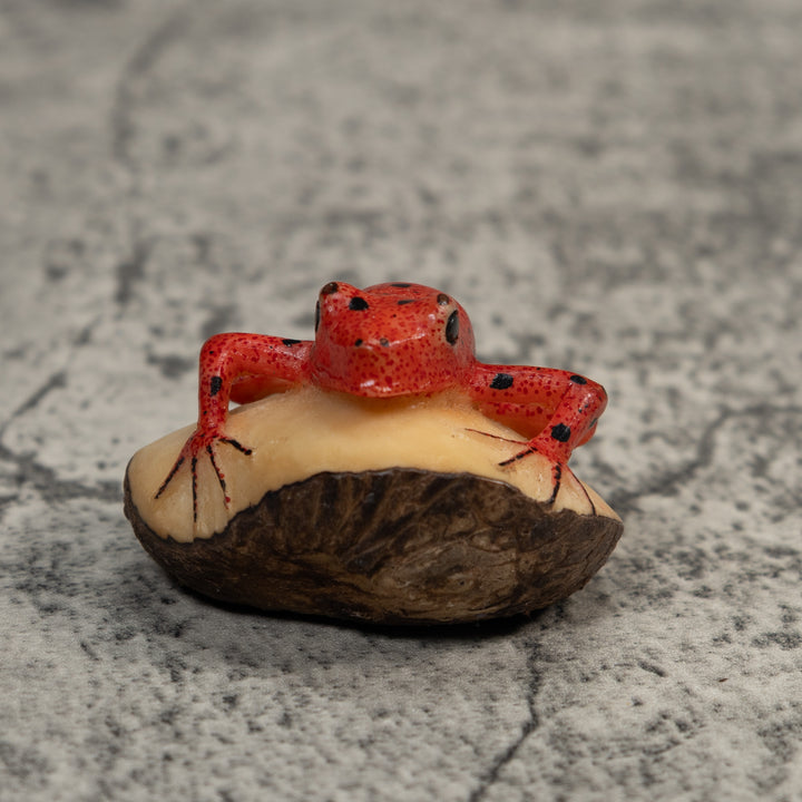 Vintage Red And Black Poison Dart Frog Tagua Carving