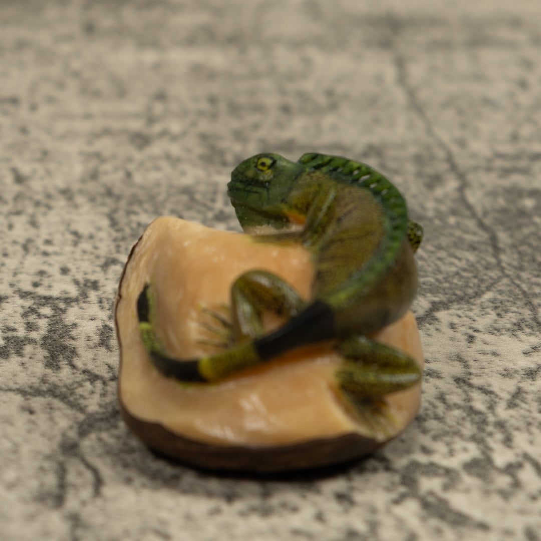 Iguana Lizard Reptile Tagua Carving
