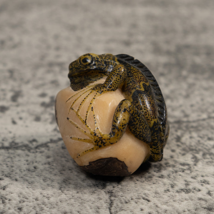 Brown And Black Iguana Lizard Tagua Carving