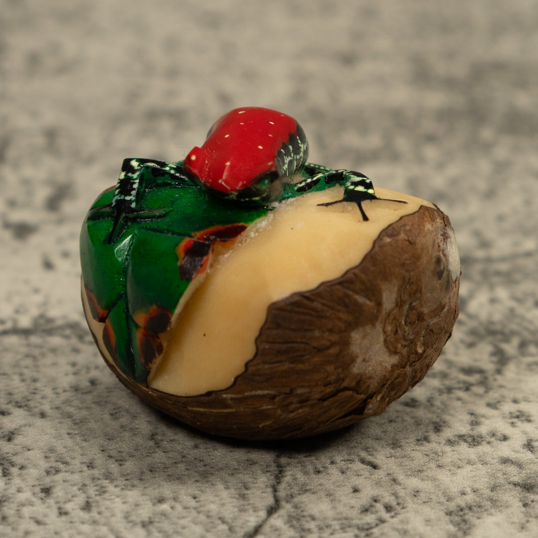 Poison Dart Red And Black Frog Tagua Carving