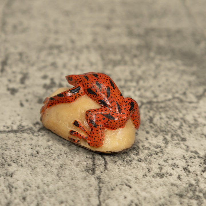 Black And Orange Poison Dart Frog Tagua Carving
