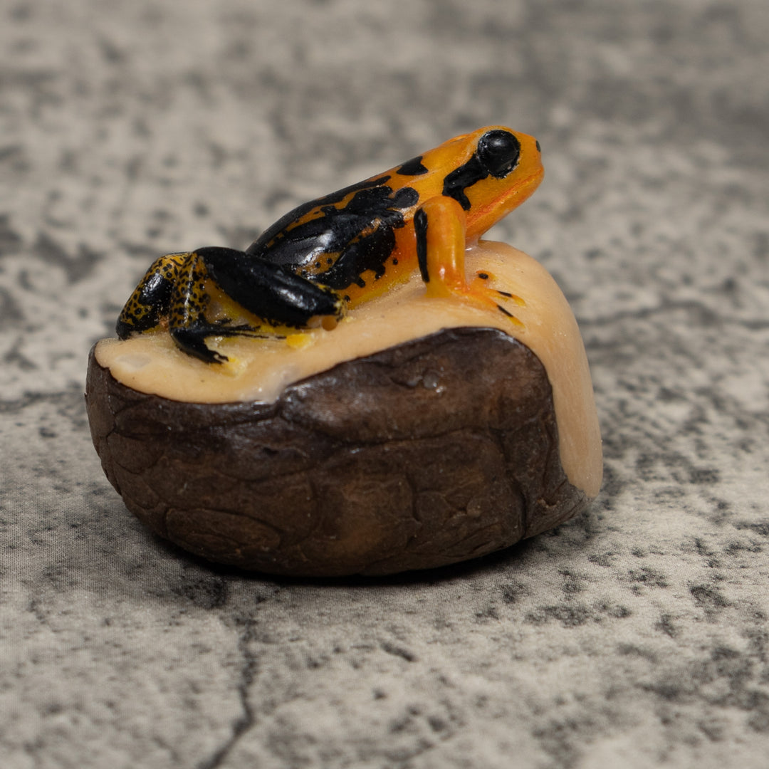 Black And Gold Poison Dart Frog Tagua Carving
