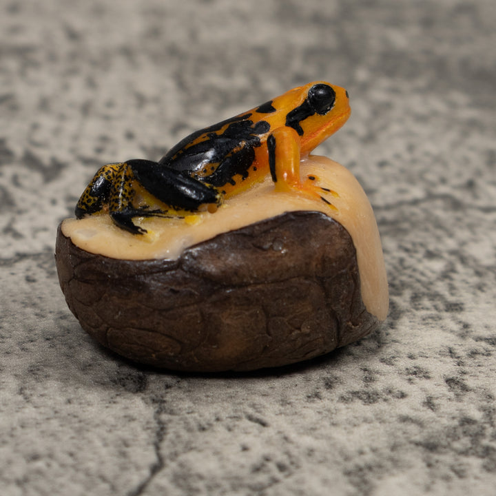 Black And Gold Poison Dart Frog Tagua Carving