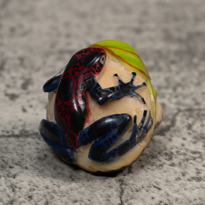 Vintage Black Red And Green Frog Tagua Carving