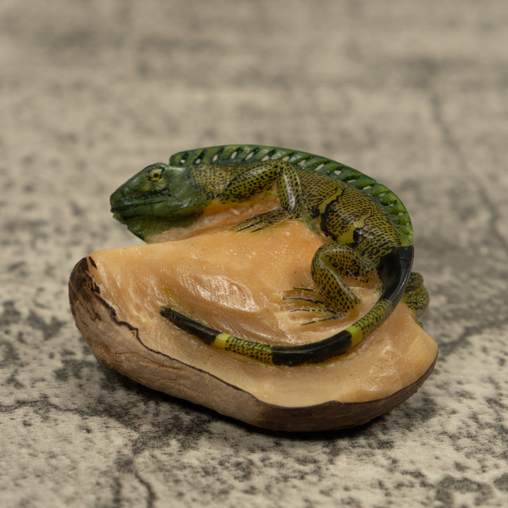 Iguana Lizard Reptile Tagua Carving