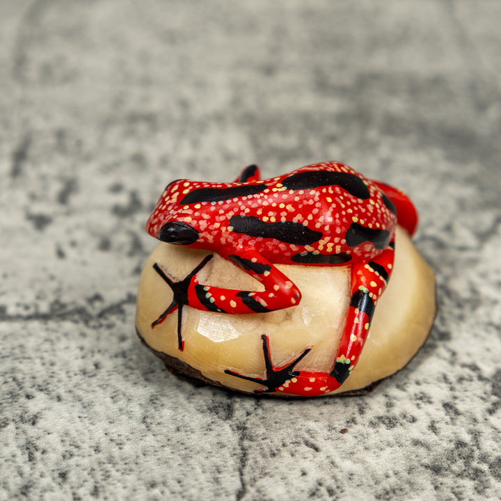 Black And Red Poison Dart Frog Tagua Carving