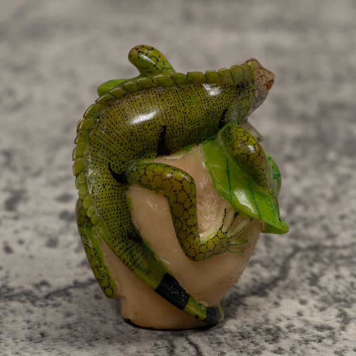 Iguana Lizard Reptile Tagua Carving