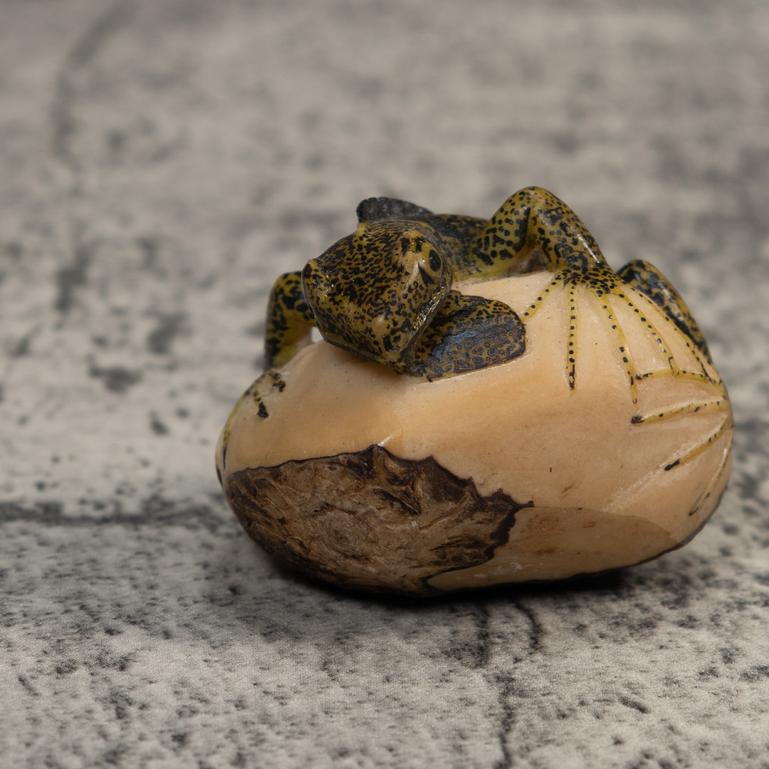 Brown And Black Iguana Lizard Tagua Carving