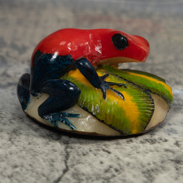 Red And Black Poison Dart Frog Tagua Carving