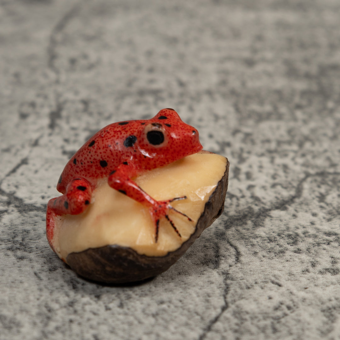 Vintage Red And Black Poison Dart Frog Tagua Carving