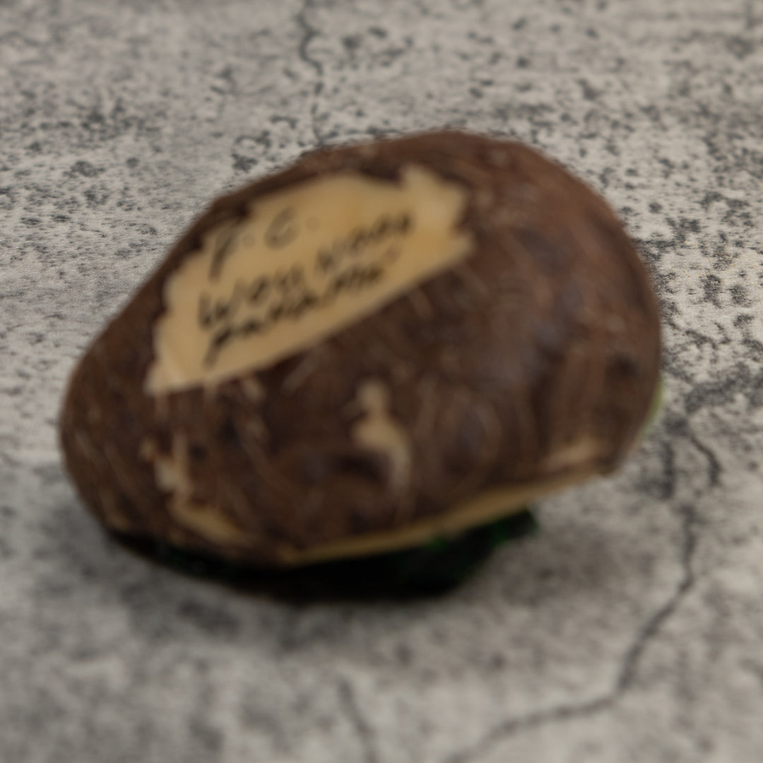 Green Yellow And Black Poison Dart Frog Tagua Carving