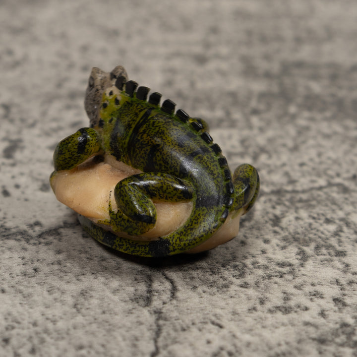 Iguana Lizard Reptile Tagua Carving