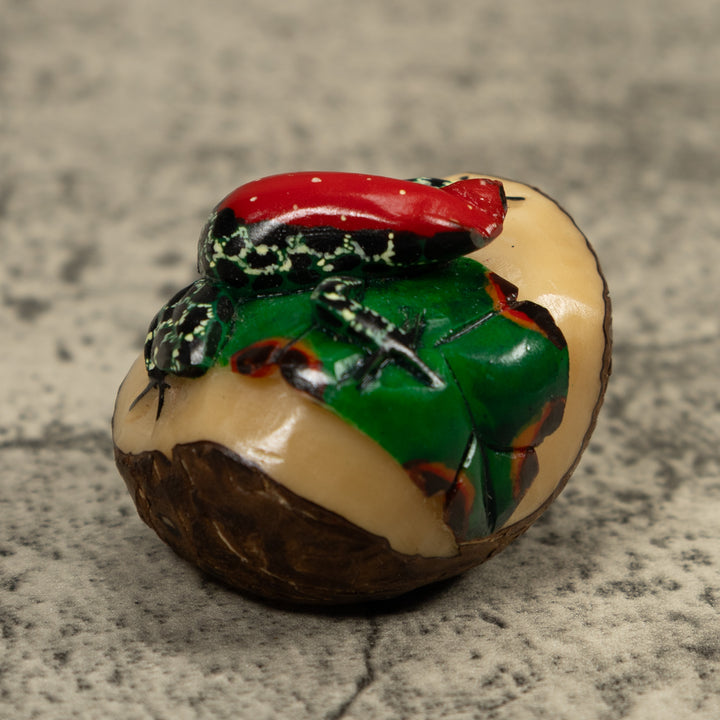 Poison Dart Red And Black Frog Tagua Carving