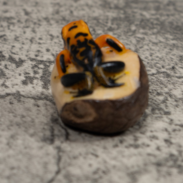 Black And Gold Poison Dart Frog Tagua Carving