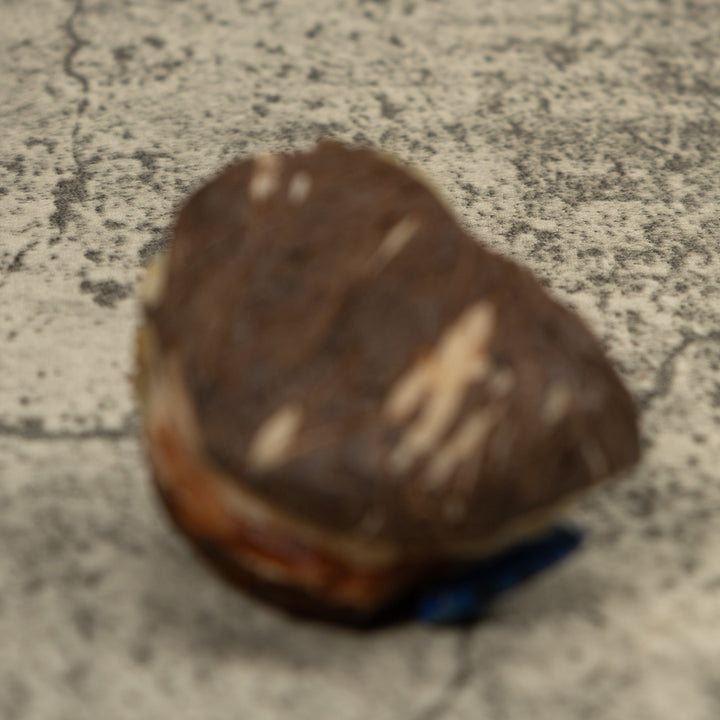 Blue Poison Dart Frog Tagua Carving