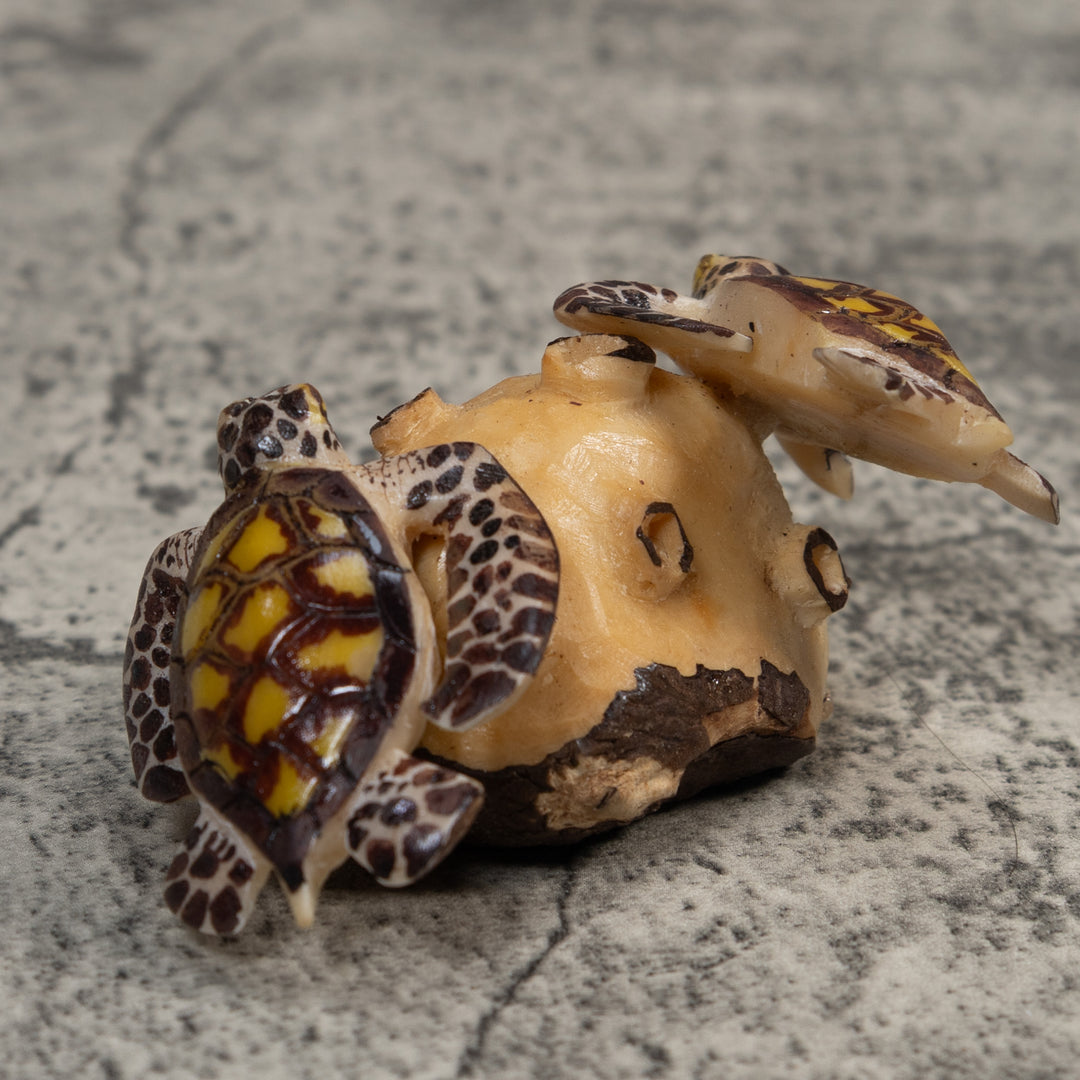 Double Sea Turtle Tagua Carving
