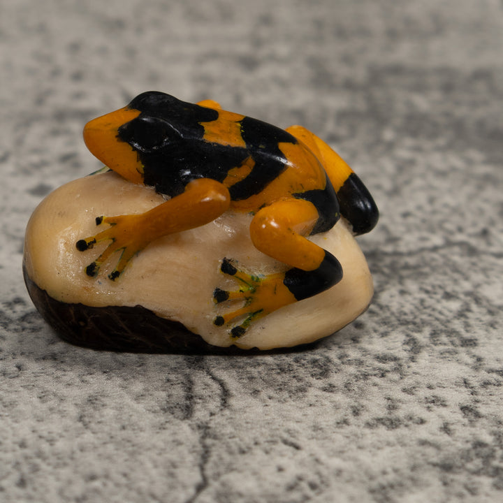 Vintage Gold And Black Frog Tagua Carving