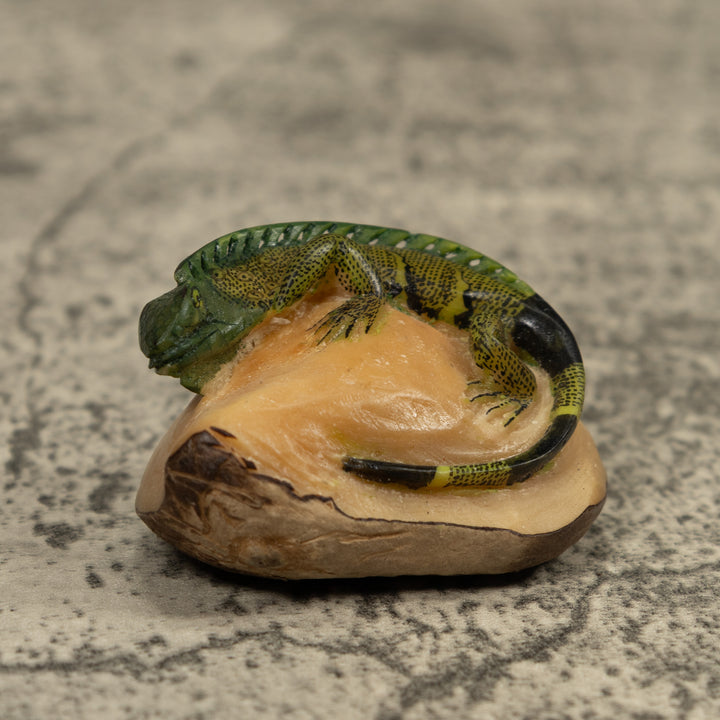Iguana Lizard Reptile Tagua Carving