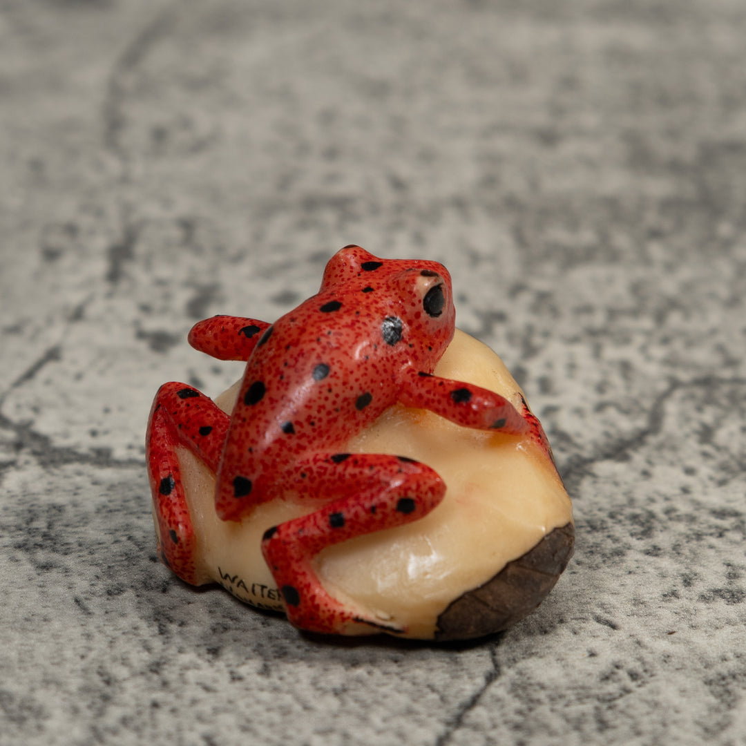 Vintage Red And Black Poison Dart Frog Tagua Carving