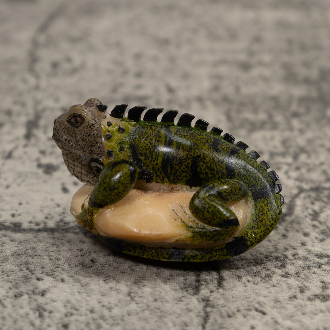 Iguana Lizard Reptile Tagua Carving