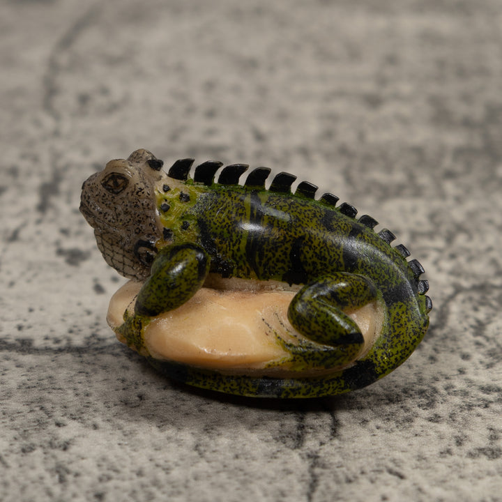 Iguana Lizard Reptile Tagua Carving