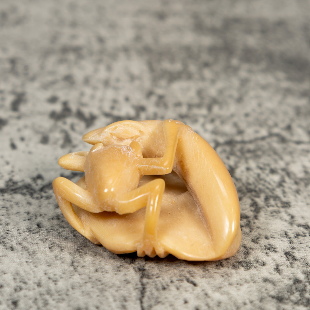 Vintage Natural White Snake Eating Frog Tagua Carving
