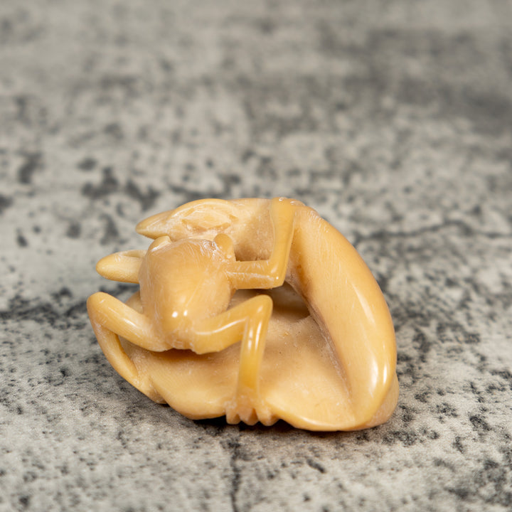 Vintage Natural White Snake Eating Frog Tagua Carving