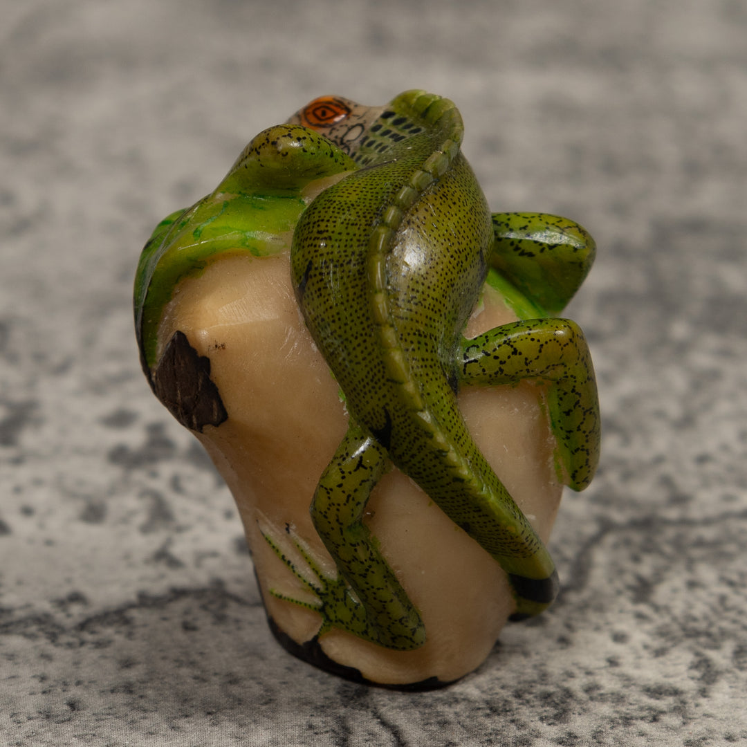 Iguana Lizard Reptile Tagua Carving