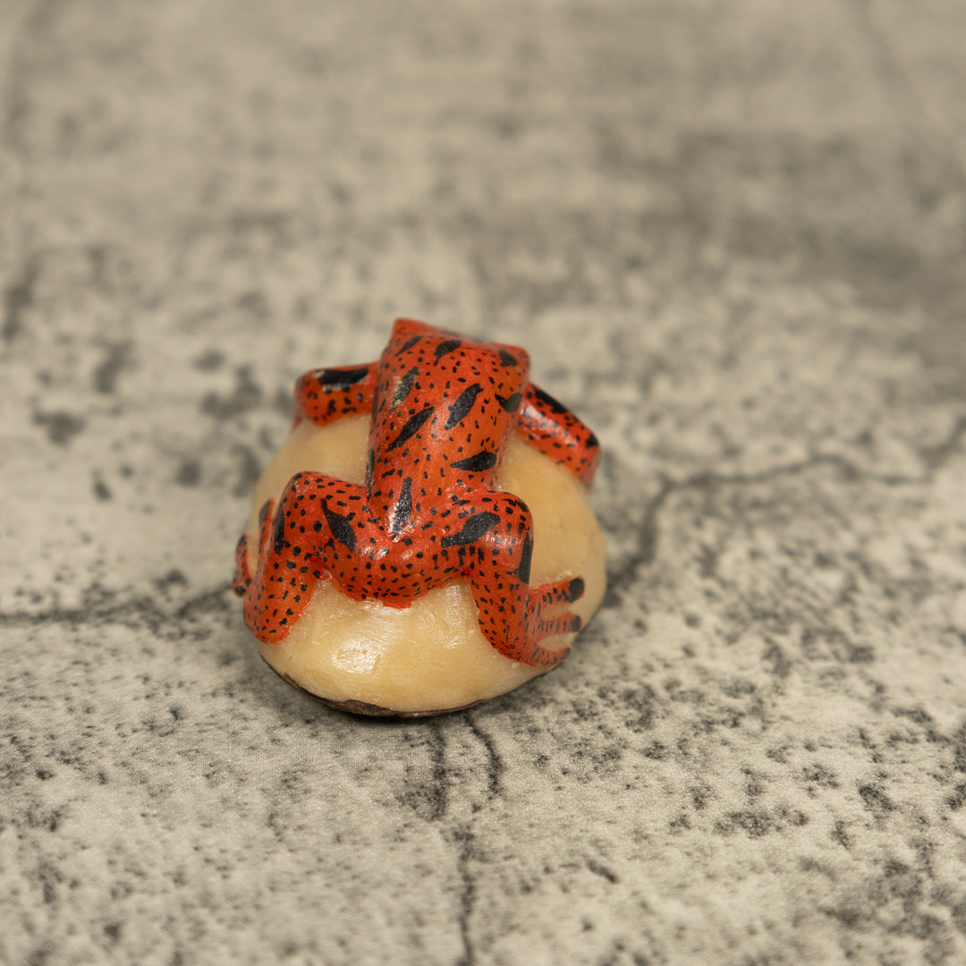 Black And Orange Poison Dart Frog Tagua Carving