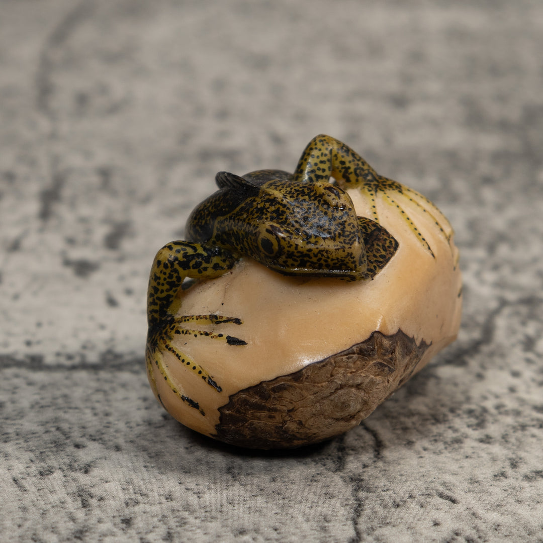 Brown And Black Iguana Lizard Tagua Carving