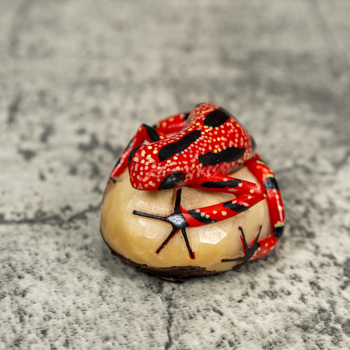 Black And Red Poison Dart Frog Tagua Carving