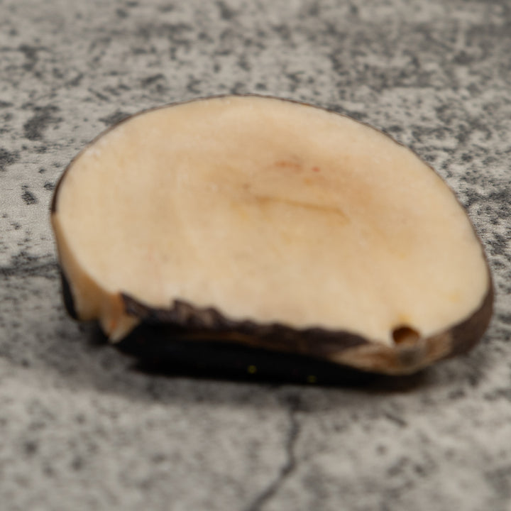 Vintage Poison Dart Frog Tagua Carving