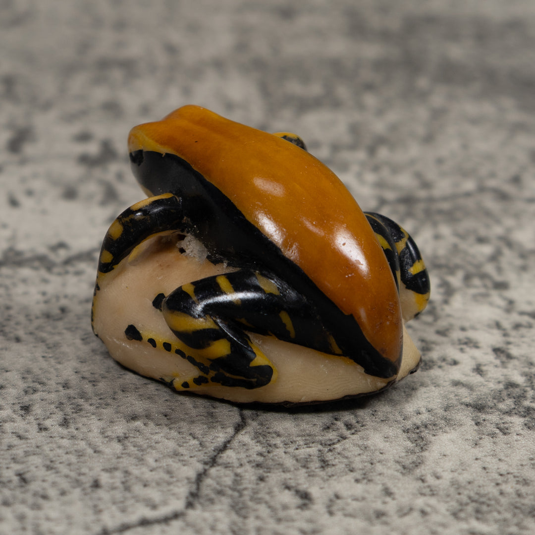 Black And Gold Frog Tagua Carving