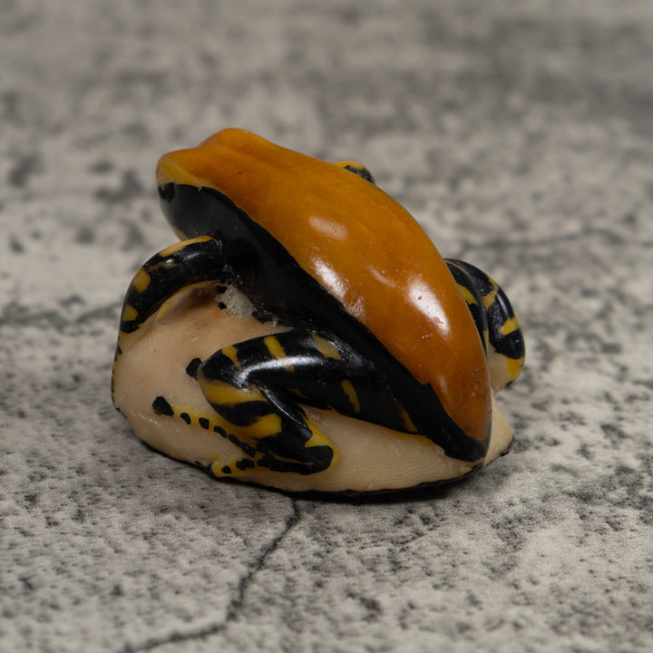 Black And Gold Frog Tagua Carving