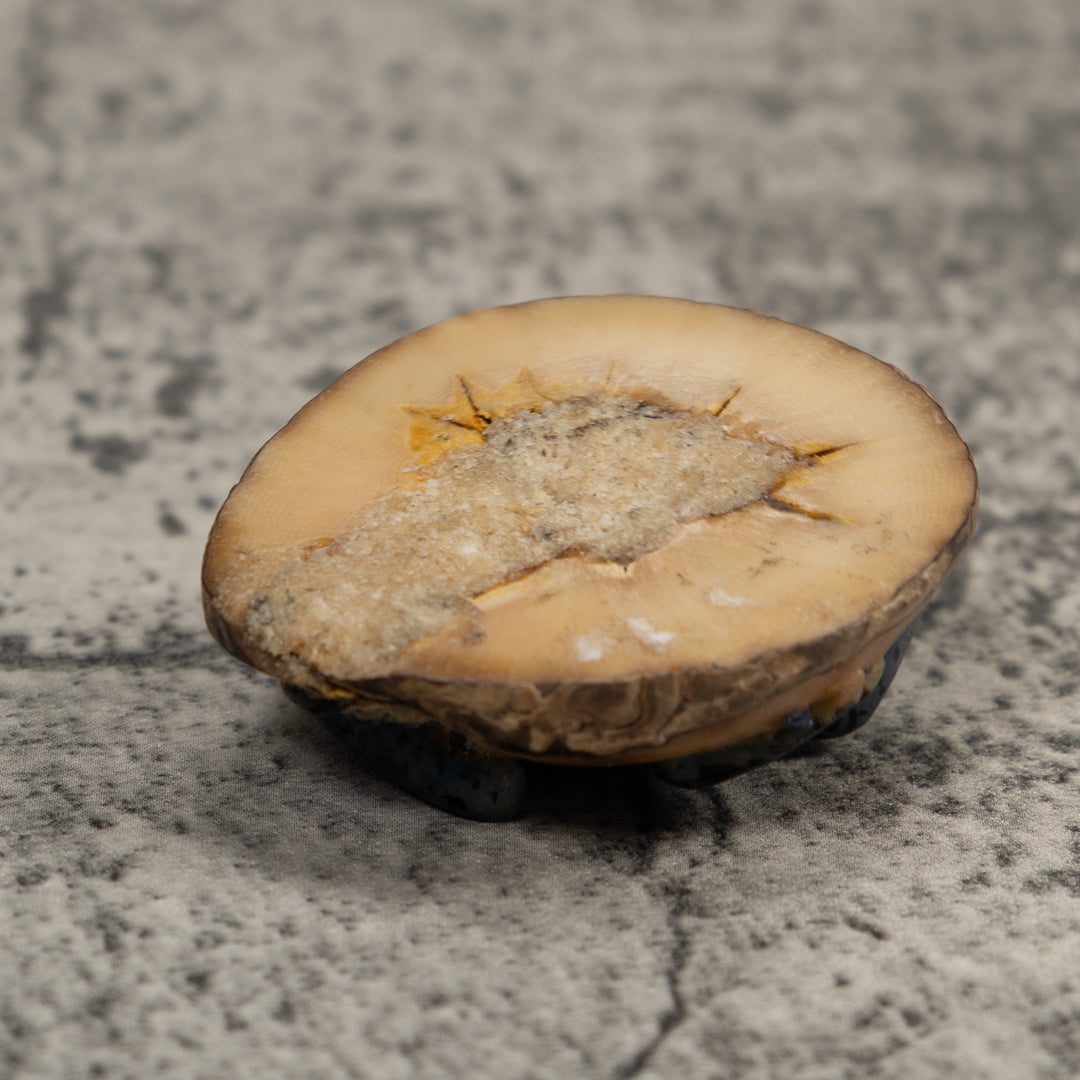 Vintage Dark Blue Frog Tagua Carving