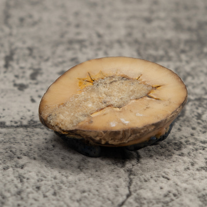 Vintage Dark Blue Frog Tagua Carving