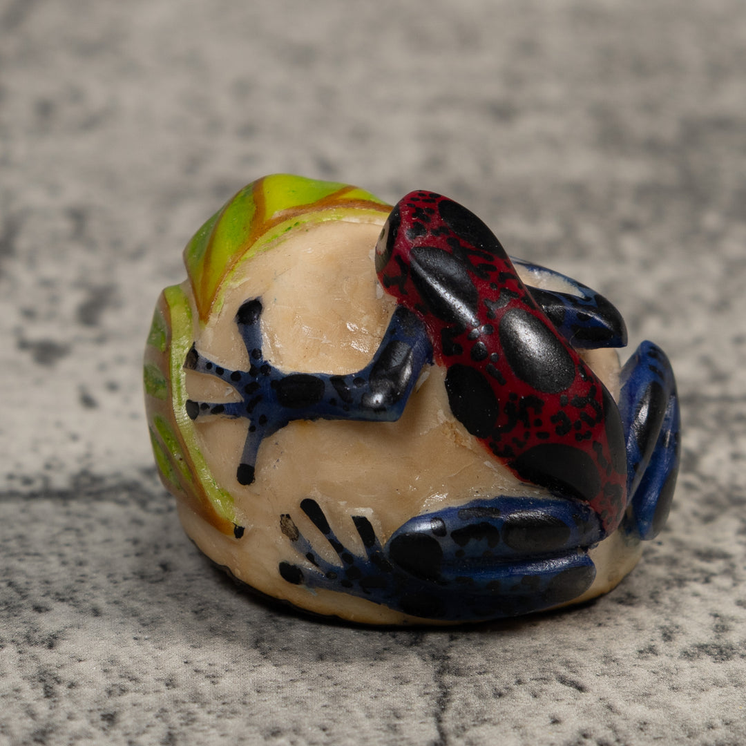 Vintage Black Red And Green Frog Tagua Carving