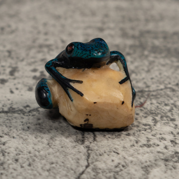 Blue And Black Poison Dart Frog Tagua Carving
